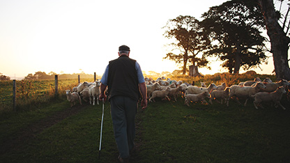 farmer with sheep