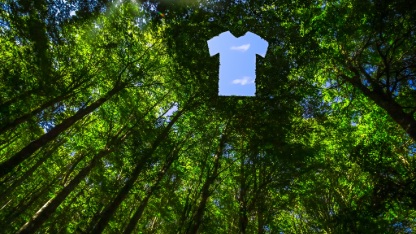 A dense green forest with tall trees under bright sunlight. In the center of the canopy, the leaves form a clear cutout in the shape of a T-shirt, revealing a bright blue sky with a few white clouds.