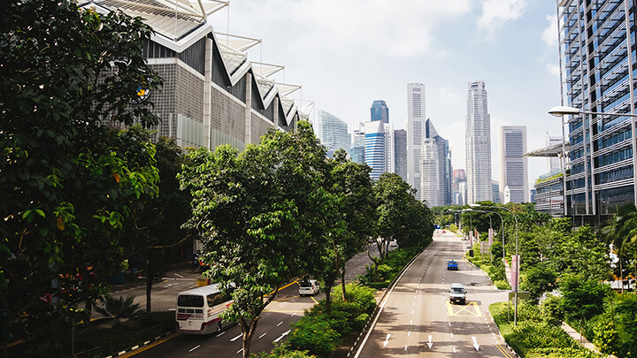 City street with immense foliage and green space