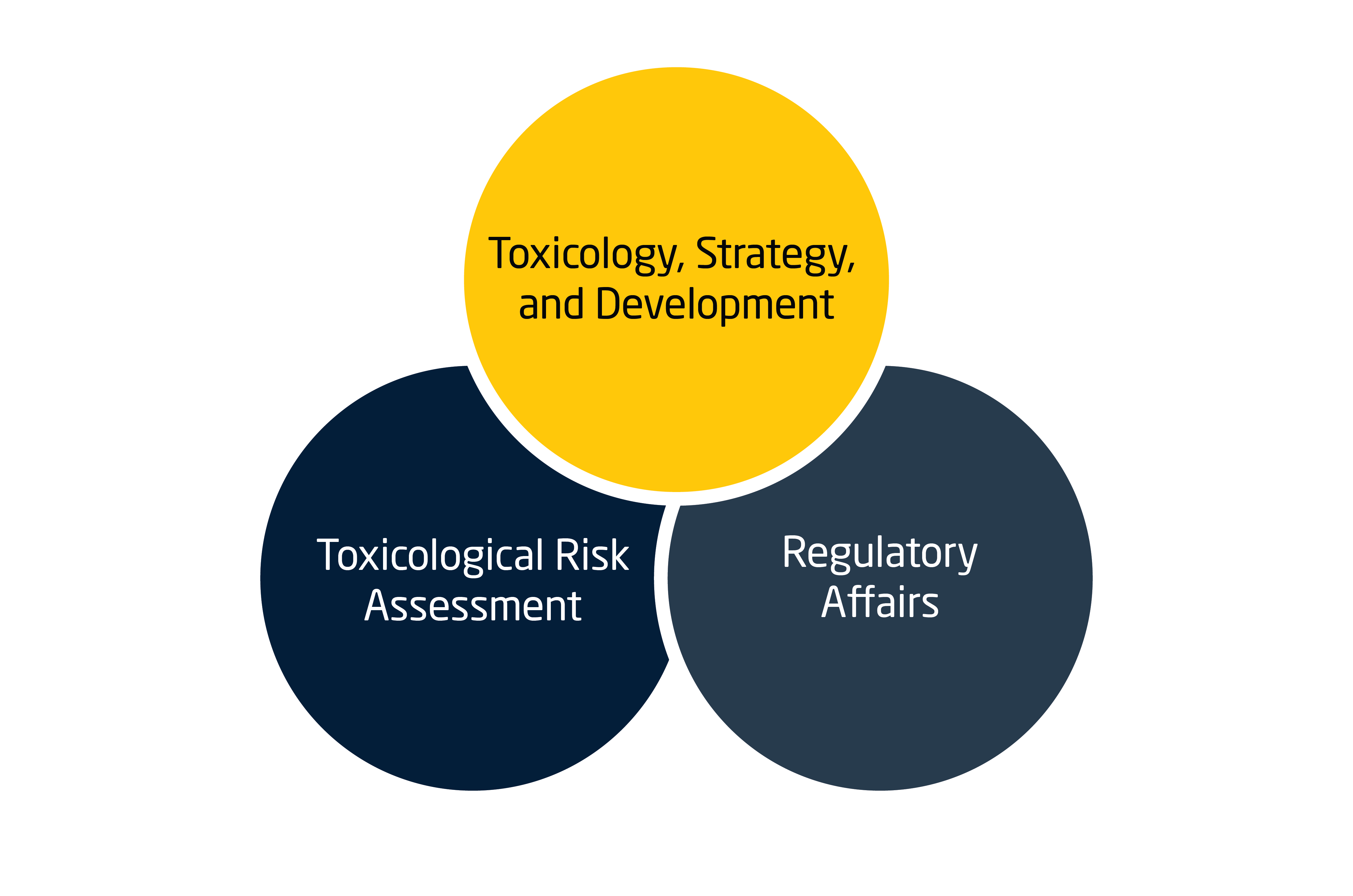 Overlapping three-circle diagram of pharma consulting teams showing a yellow top circle labeled “Toxicology, Strategy, and Development” above two dark blue circles labeled “Toxicological Risk Assessment” and “Regulatory Affairs.”