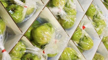 Close-up of green apples packed in clear plastic bags, neatly arranged inside cardboard boxes for storage or transport.